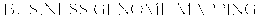 BUSINESS GENOME MAPPING trademark