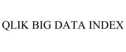 QLIK BIG DATA INDEX trademark