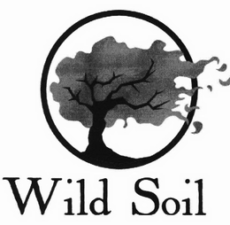 WILD SOIL trademark