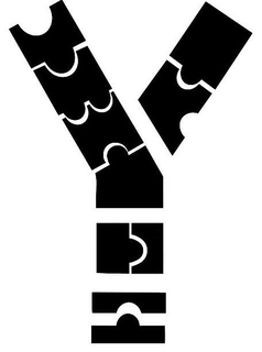 Y trademark