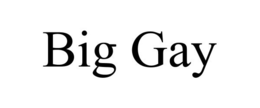 BIG GAY trademark