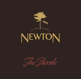 NEWTON THE PUZZLE trademark
