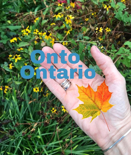 ONTO ONTARIO trademark