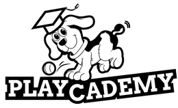 PLAYCADEMY trademark