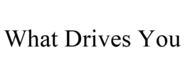 WHAT DRIVES YOU trademark