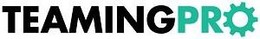 TEAMINGPRO trademark