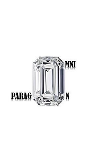 OMNI PARAGON trademark