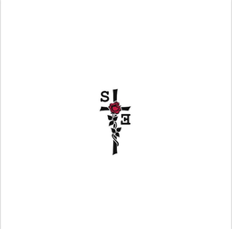 S E trademark