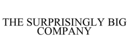 THE SURPRISINGLY BIG COMPANY trademark