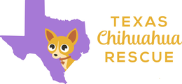 TEXAS CHIHUAHUA RESCUE trademark