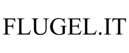 FLUGEL.IT trademark