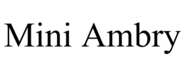 MINI AMBRY trademark