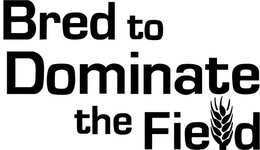 BRED TO DOMINATE THE FIELD trademark