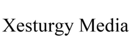 XESTURGY MEDIA trademark