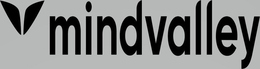 MINDVALLEY trademark