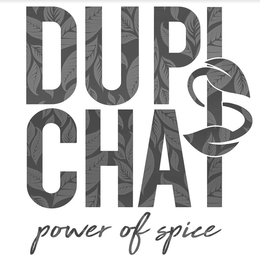 DUPISCHAI POWER OF SPICE trademark