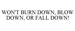 WON'T BURN DOWN, BLOW DOWN, OR FALL DOWN! trademark