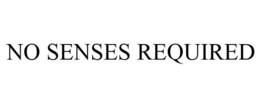 NO SENSES REQUIRED trademark