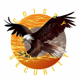 COISSY SECURITY C trademark