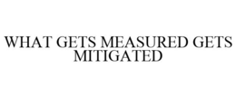 WHAT GETS MEASURED GETS MITIGATED trademark