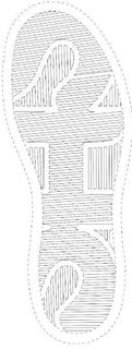 SAS trademark