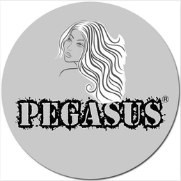 PEGASUS trademark