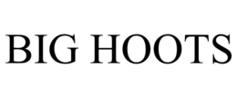 BIG HOOTS trademark