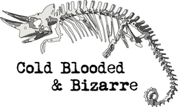 COLD BLOODED & BIZARRE trademark
