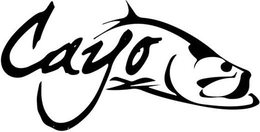 CAYO trademark