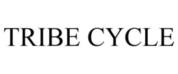TRIBE CYCLE trademark
