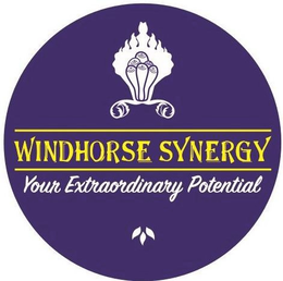 WINDHORSE SYNERGY YOUR EXTRAORDINARY POTENTIAL trademark