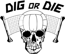 DIG OR DIE trademark