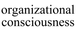 ORGANIZATIONAL CONSCIOUSNESS trademark