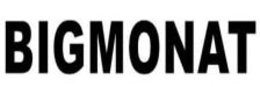 BIGMONAT trademark