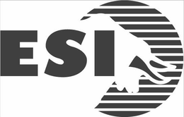 ESI trademark