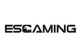ESGAMING trademark