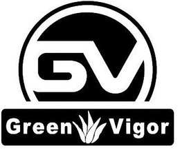 GV GREEN VIGOR trademark