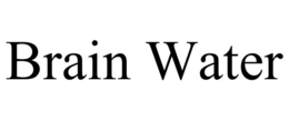 BRAIN WATER trademark