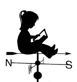NWSE trademark
