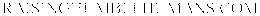 RAISINGHUMBLEHUMANS.COM trademark