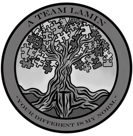 A TEAM LAMIN ATL "YOUR DIFFERENT IS MY NORM." trademark