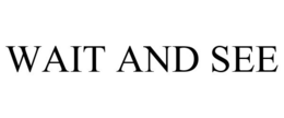 WAIT AND SEE trademark
