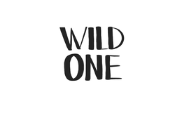 WILD ONE trademark