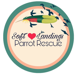 SOFT LANDINGS PARROT RESCUE trademark