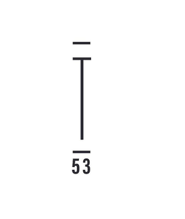 T 53 trademark