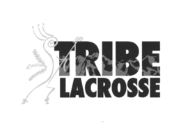 TRIBE LACROSSE trademark