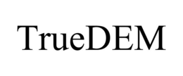 TRUEDEM trademark