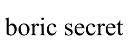 BORIC SECRET trademark