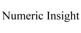 NUMERIC INSIGHT trademark
