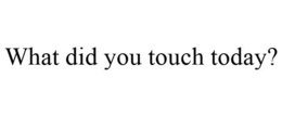 WHAT DID YOU TOUCH TODAY? trademark